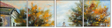 21654530