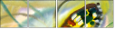 21683658