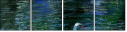 21687116