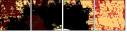 21717214
