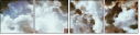 217692182