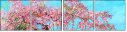 21924091