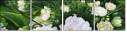 21926067
