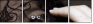 21991281