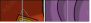 220168493