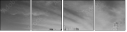 22043006