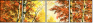 22048454