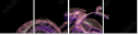 22171142