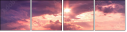 22254013