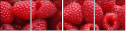 22816665