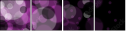 23152561