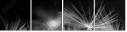 23180311