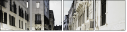 23184443