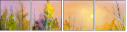 23858771