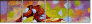 23864651