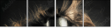 23870007