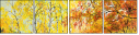 24149025