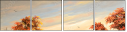 24149531