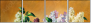 24155695
