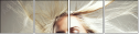 24254895