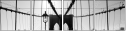24567610