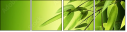24604585