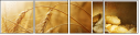 24679750
