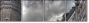 25027366