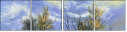 25087536