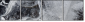 25109455