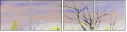 25136666