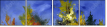 25138531