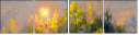25158579
