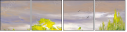 25159336
