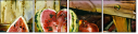 25162532