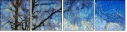 252232371