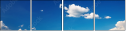 25295366