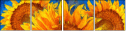 256376669