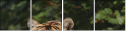26122223