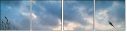 26174733