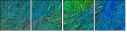 262122365