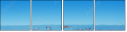 26651853
