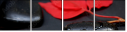 26741750