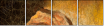 26904227