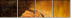 26905100