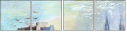 26972907