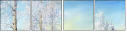 26973072