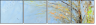 26973707