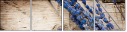 27029700