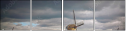 27403558